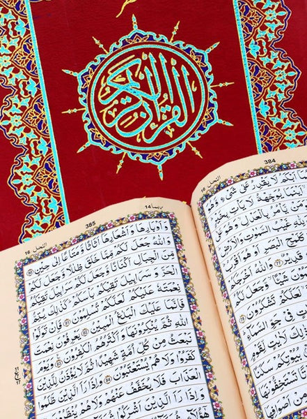 Holy Quran without Translation