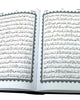 Holy Quran without Translation