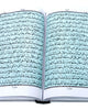 Holy Quran without Translation