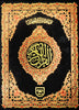 Holy Quran without Translation
